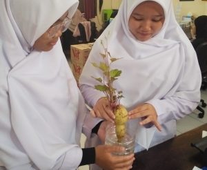 DUKUNG AKSI GO GREEN! SISWA ADZKIA UNJUK KREATIVITAS DARI SAMPAH PLASTIK